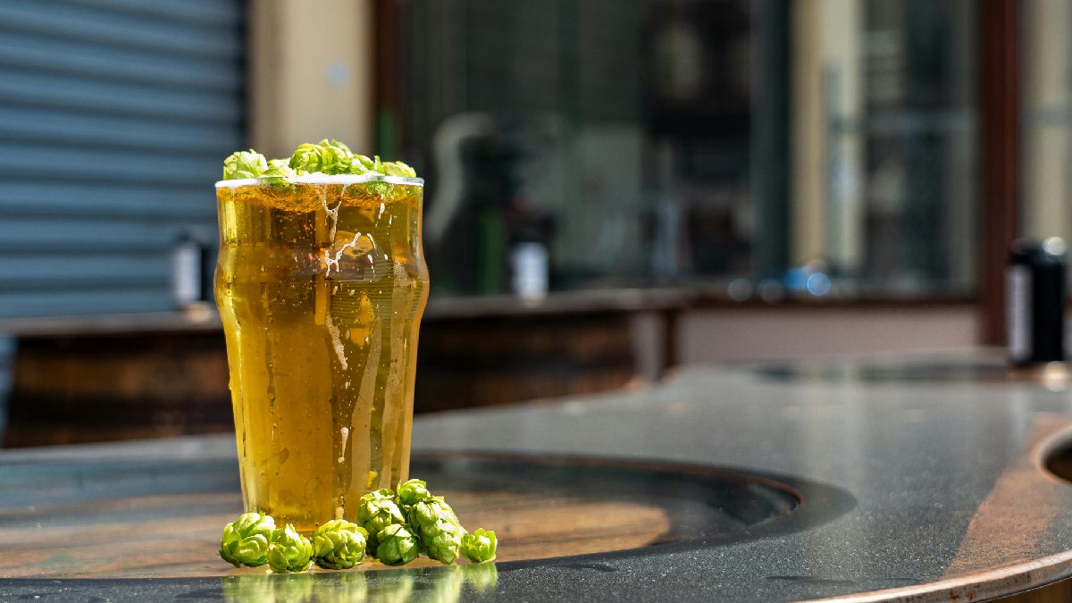 A força da cerveja artesanal brasileira passa por produção, técnica e identidade de marca